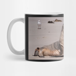 Sealions 6 Mug